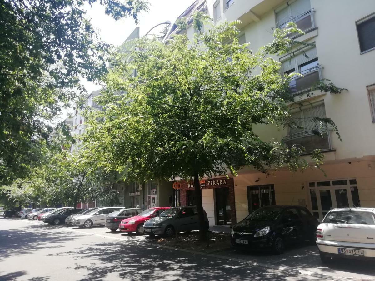 Two Kings Apartment 노비사드 외부 사진